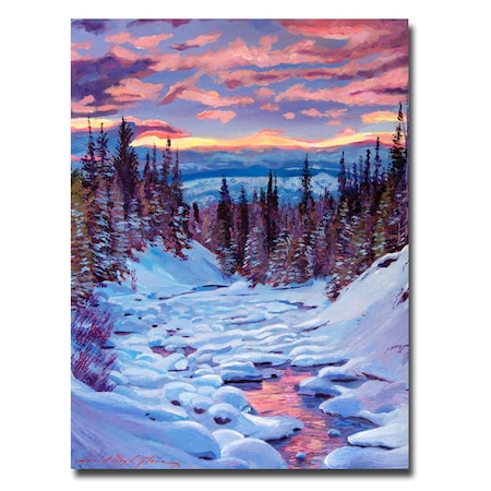 David Lloyd Glover 'Winter Solstice' Canvas Art,24x32